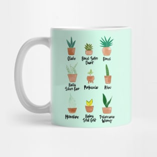 Sansevieria Cultivars (White) Mug